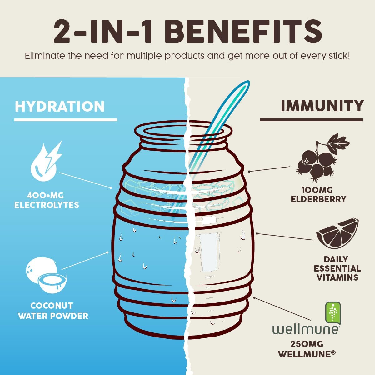 Hydration & Immunity Drink Mix, Electrolyte Stick Packs, Horchata