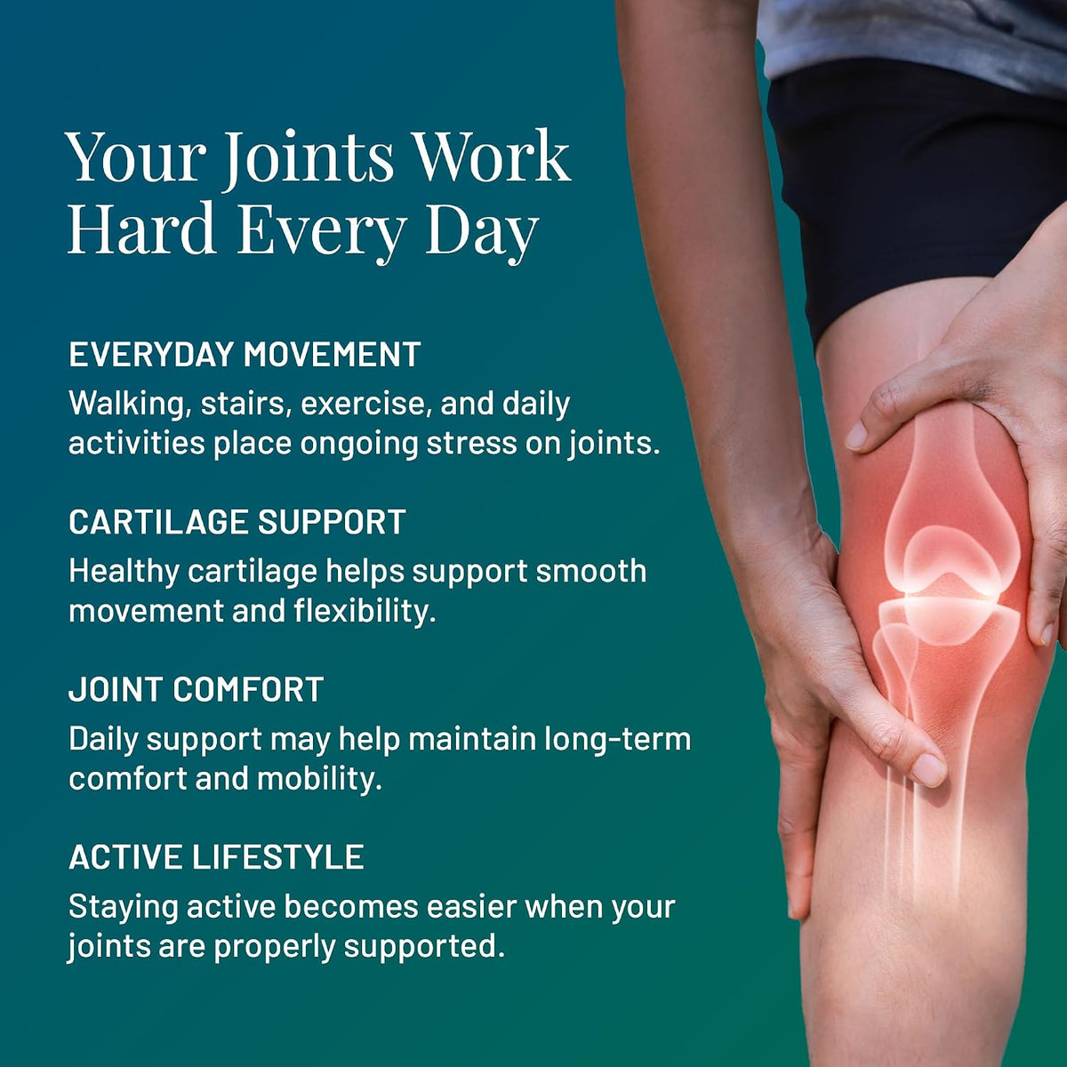 Joint Support Supplement with Glucosamine, Chondroitin & MSM, 120ct