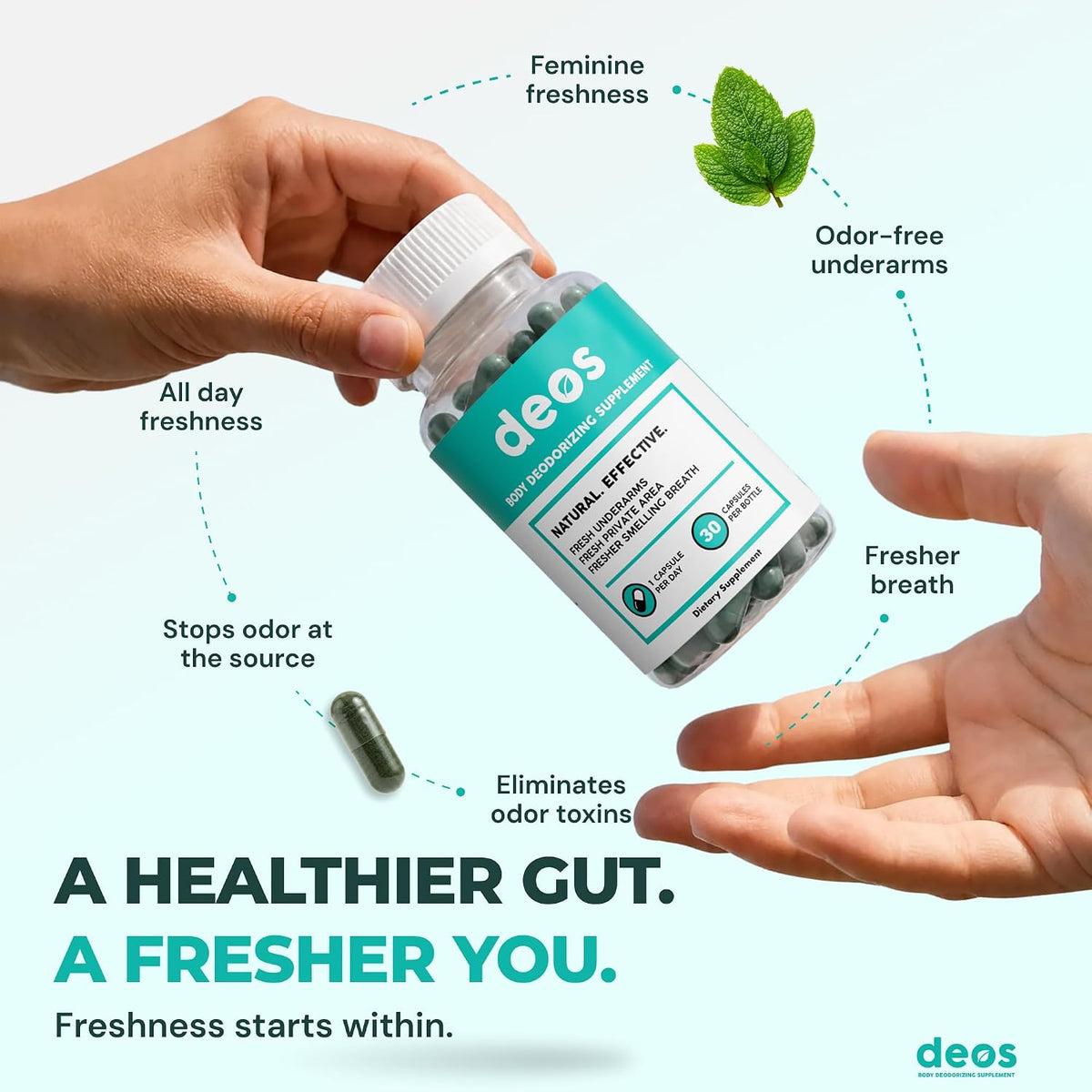 Chlorophyll Capsules, Internal Deodorant & Fresh Breath Support, 30ct