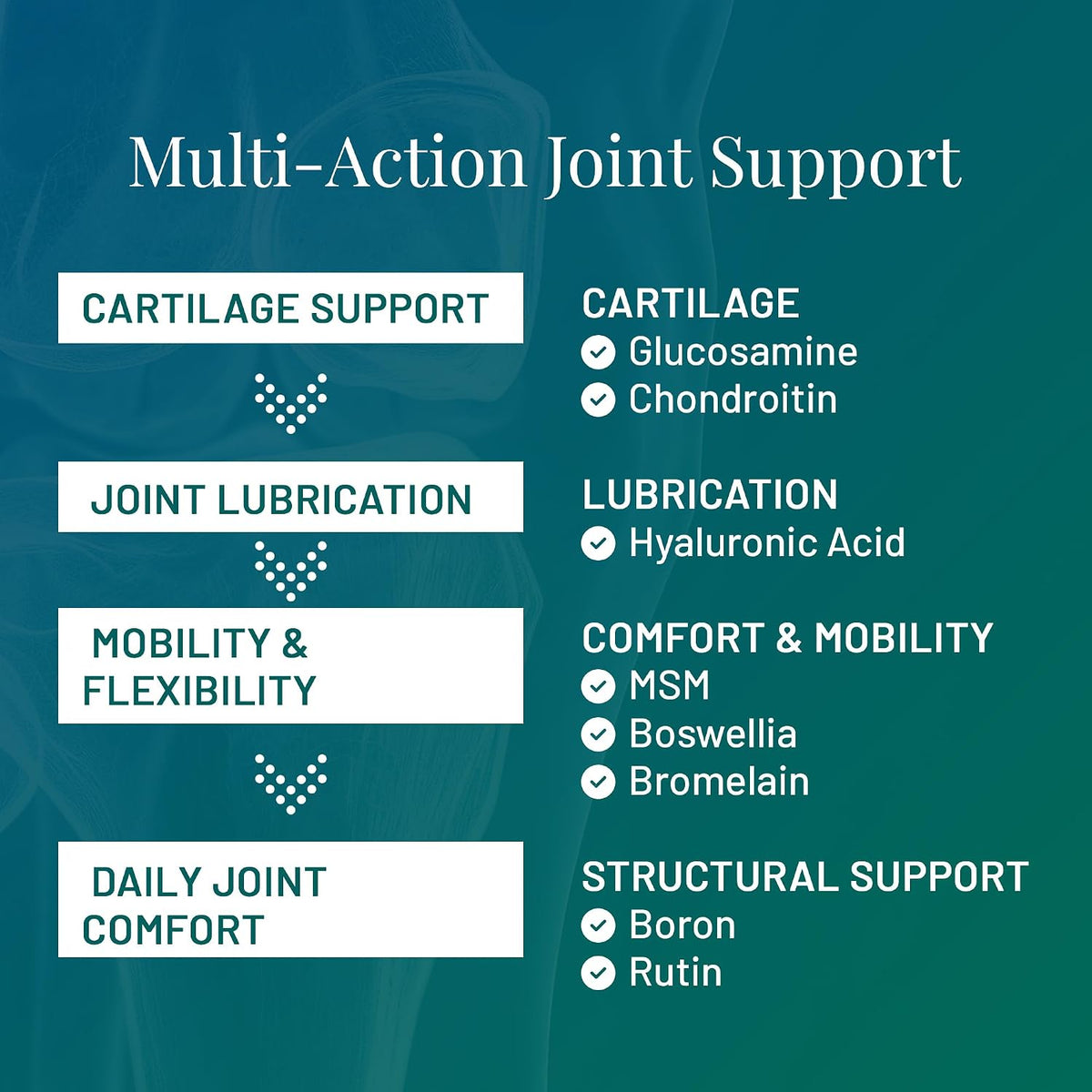 Joint Support Supplement with Glucosamine, Chondroitin & MSM, 120ct