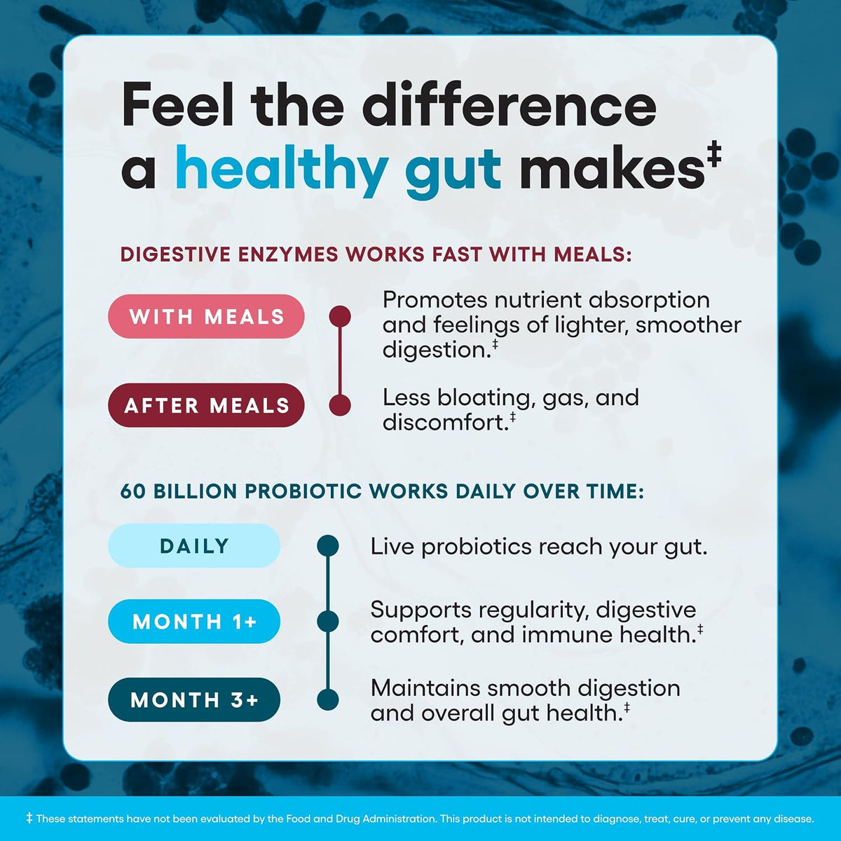 Probiotic & Digestive Enzyme Bundle, Gut Health Support Set