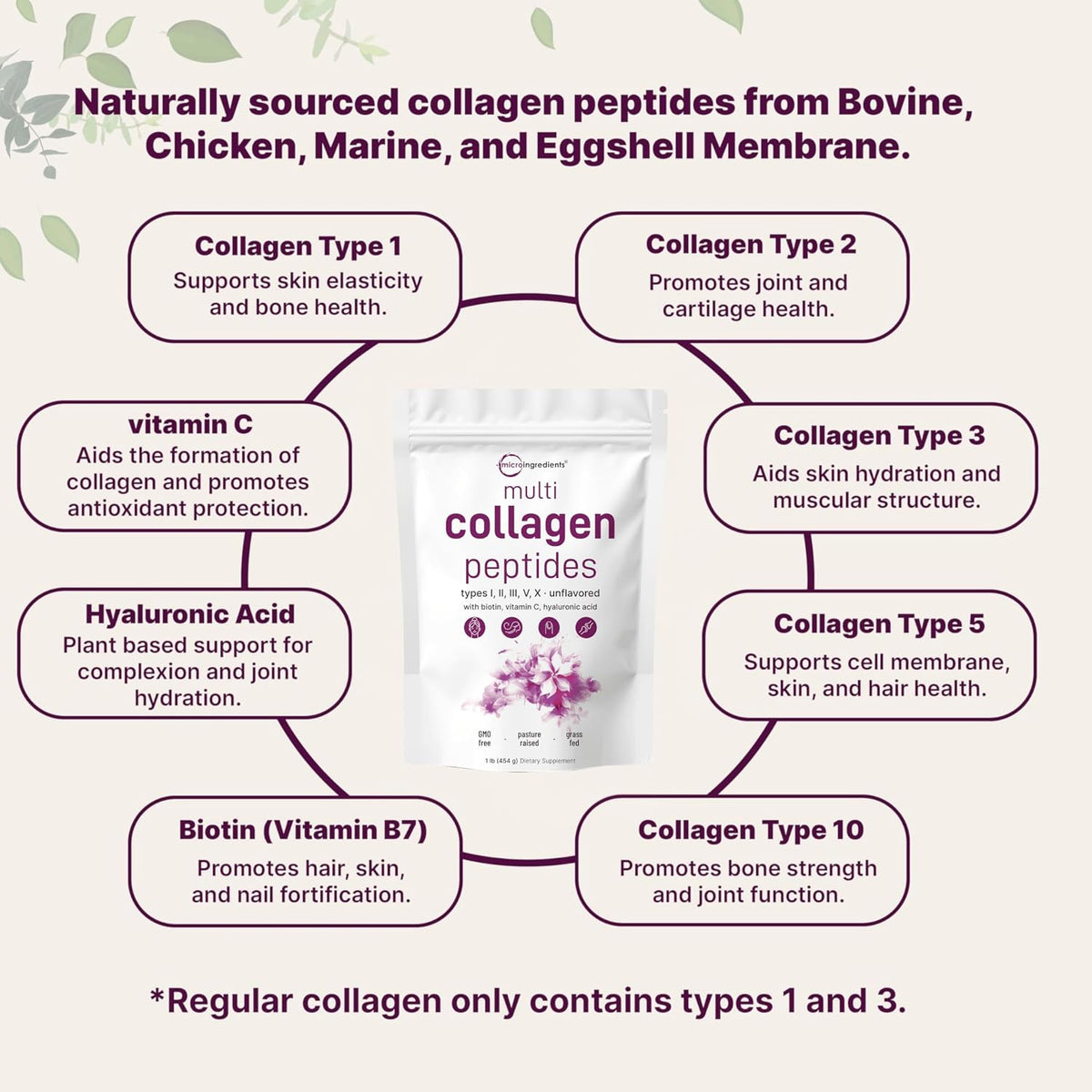 Multi Collagen Peptides Powder 8-in-1 with Hyaluronic Acid, 16oz